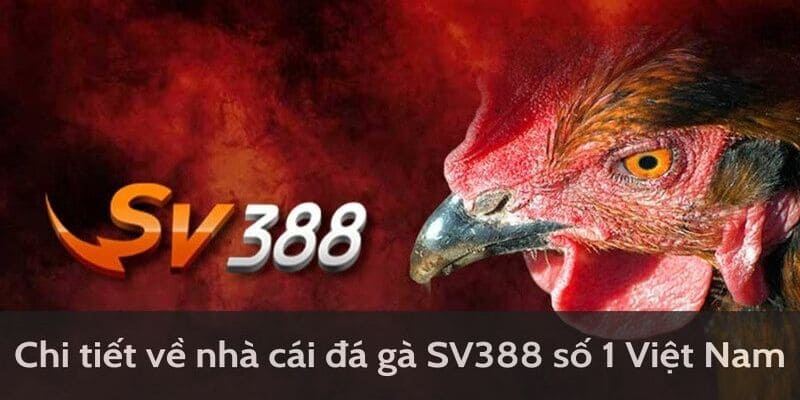 đá gà SV388 U888